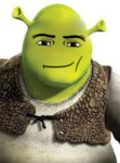 The Best Shrek Cult