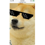 Agent doges!