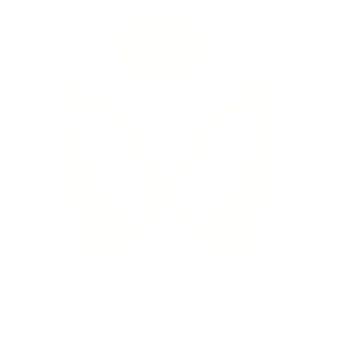 Alas de Angel