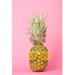 THE PINEAPPLE SQUAD THE 1ST