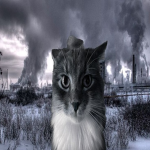 gassy inc.