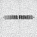 -llxdons flower’s-