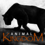 The Kingdom Of Animals