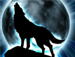 night wolf