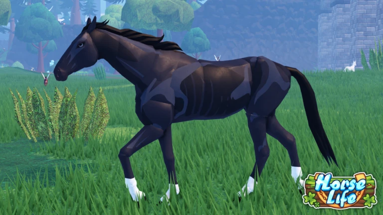 🐴 Horse Life 🐎