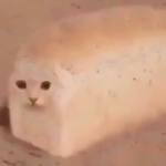 ꩜ .ᐟ
