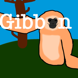 gibbon.