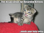 the association for ReTaRdEd kittehs
