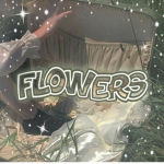 +flowers+