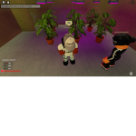 gucci Limiteds