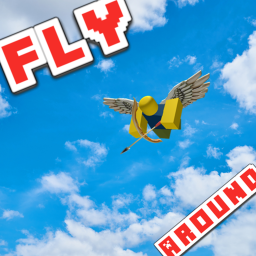Fly Around 2
