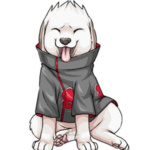 Akamaru Puppy Productions!