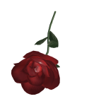 Holdable Valentine's Rose