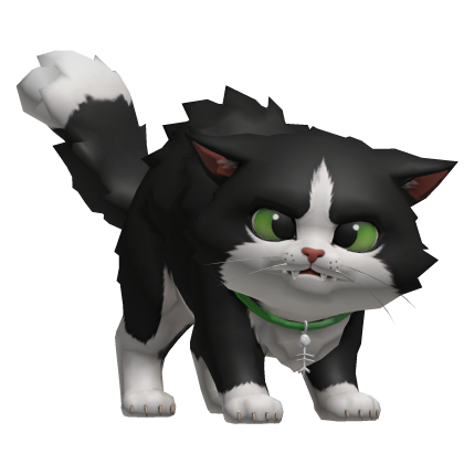 Black Cat Roblox item
