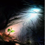 Light In The Dark Club