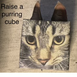 Raise a Purring Cube! ✊