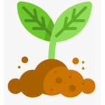 Plant place.