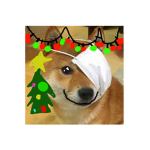 Deh Doge groop