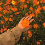 peachyxbee