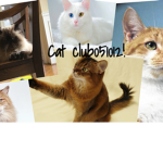 Cat club051012