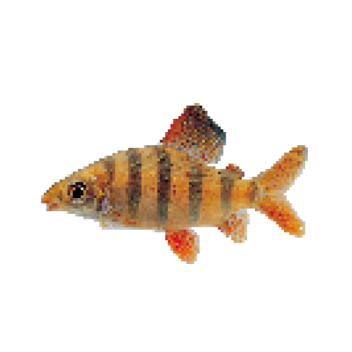 Just Click (thats the whole game)