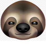 Sloth boys! :j