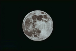 Moon Ball