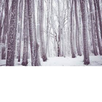 The Limbo World [EASTER EGGS]