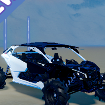 Can Am ATVs (Razers & Quads)