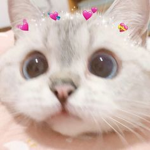 kittty<3