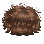 Brown Messy Boy Hair