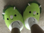 The pookie wookie bearsss