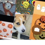 That dog is Jax