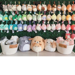 Squishmallow fans group