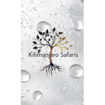 Kilimanjaro Safaris