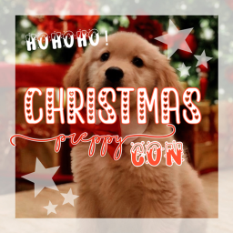 christmas con!