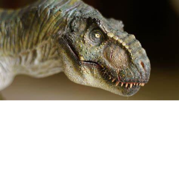 dinosaur survival rp with npc's.