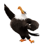 EagleTech