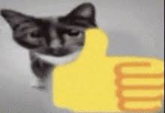 Kitty Gaming fangroup
