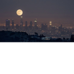Moon Wolves.
