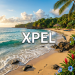 XPEL