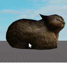 spinning cat