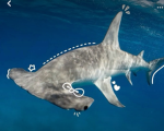 Shark baddies