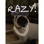 THE OFFICAL R A Z Y S