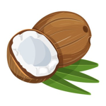 Cocoa Inc