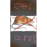 Rats United Hater Group