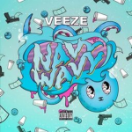 ¿ veeze ¿
