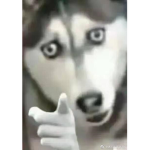 無聊群組