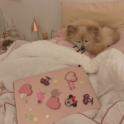 Dog Roblox decal