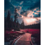 Polina_baby